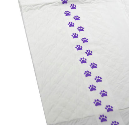 hôpital jetable de 60x90 Underpads soignant les protections jetables biodégradables d'urine pour des adultes