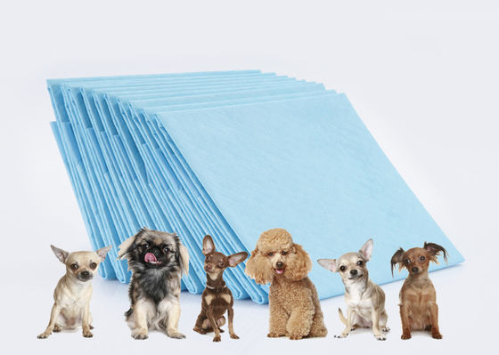 La formation d'animal familier d'hôpital capitonne l'OEM d'OIN jetable adulte d'Underpads