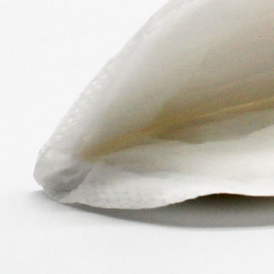 Débordent les soins respirables de GV ECO de la CE capitonnent non le textile tissé