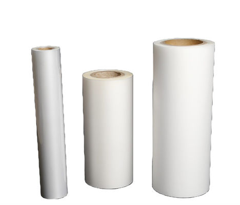 Le film transparent de stratification d'ANIMAL FAMILIER de 175mic 250mic carde la protection